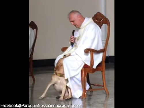 礼拝中に犬が乱入!神父の対応が話題に00