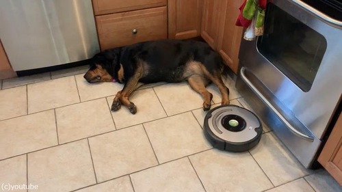 �����ζ��ǿ�����vs���ܥå��ݽ���01