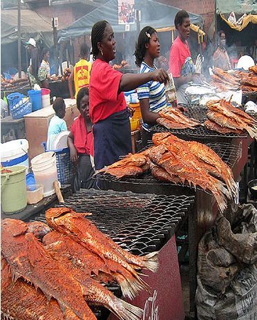 ソマリアの魚釣り20