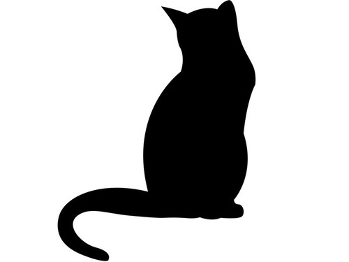 たそがれた猫