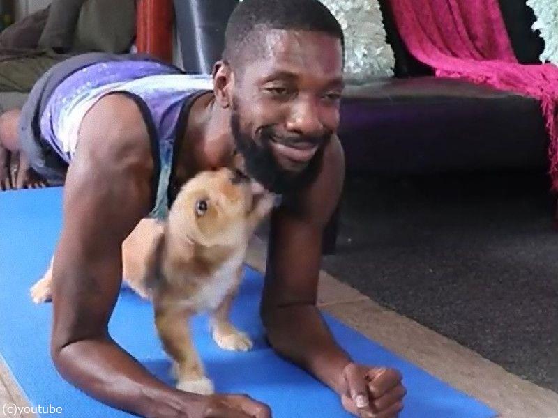 愛犬のいるところで筋トレは 難易度が高い 動画 らばq 愛犬のいるところで筋トレは 難易度が高い 動画 らばq