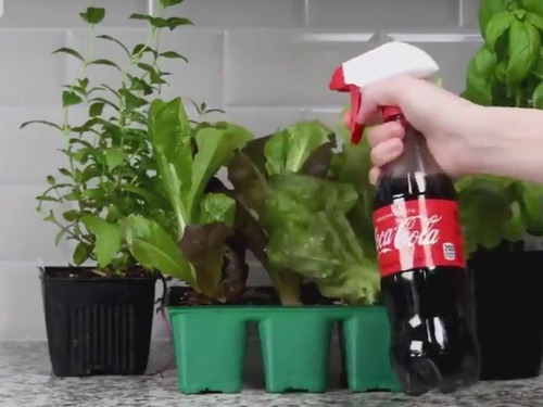 コーラの使い道10