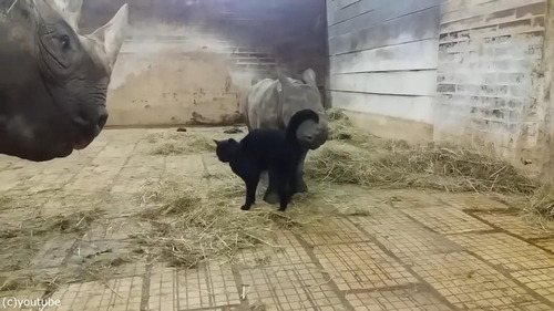 �������֤�����ǭ01