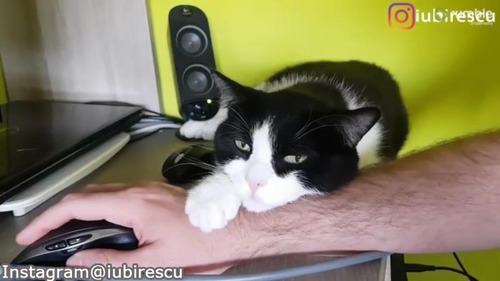 ����ʥ����०�����ޡ����ߤ���02