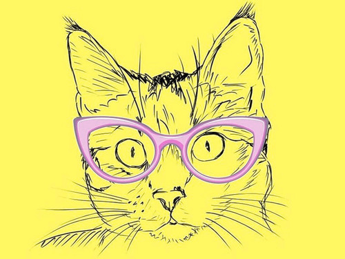 賢そうな猫