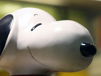 ���̡��ԡ�