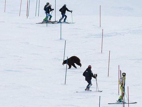09Odd one out まちがいさがし・仲間はずれ-2