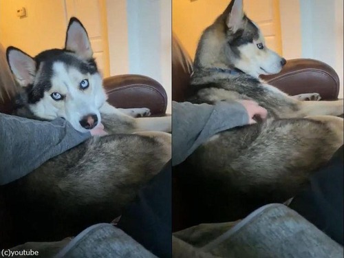 ����Ū�˥ʥǥʥǤ����븤02