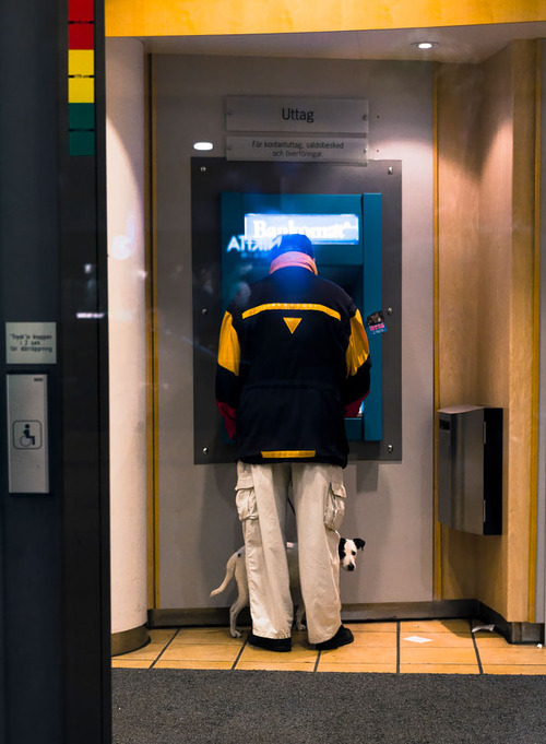 海外のATMと犬05