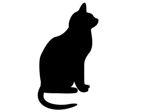 「太った猫がイスに跳び乗ることは…」→激しいフィットネスである