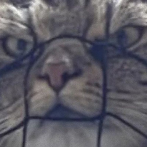 ����ǭ�˷����Ƥ��뵤������02