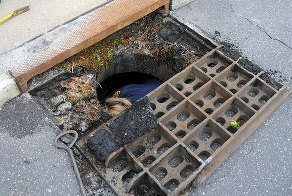 マガモのヒナたちが排水溝に落ちちゃった 途方に暮れる親鳥 救出大作戦 らばq