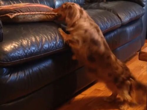 ���å����ե�ɤ�������Τ�����02