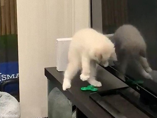 �ϥ�ɥ��ԥʡ����臘ǭ02