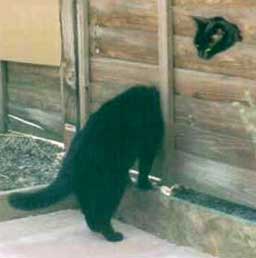 正しい角度写真特選5