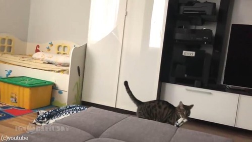 毛布泥棒の犯人04