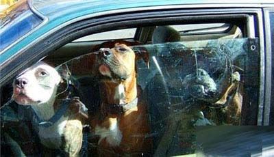 �����ɻ�08