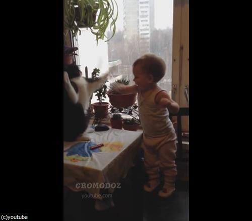 猫パンチ対決02