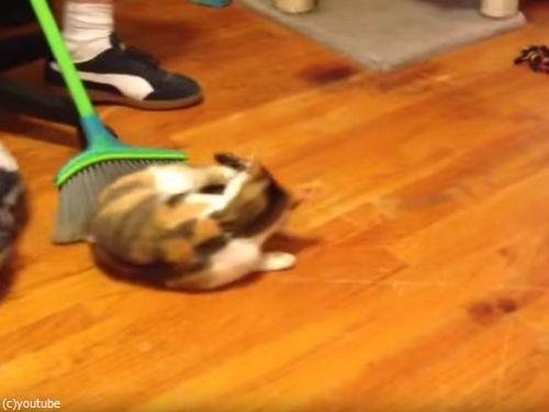 掃かれたい猫04