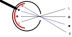 目の図１