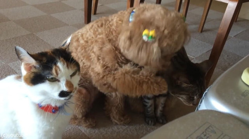 ǭ������ȥ��ס��ɥ�03