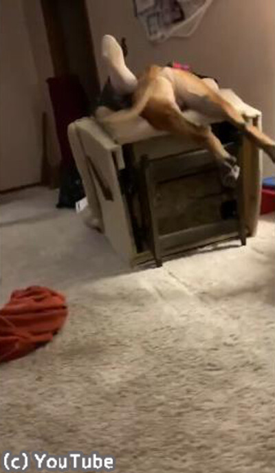 �����礵��ؤΰ����Ų᤮��Ȥ�01