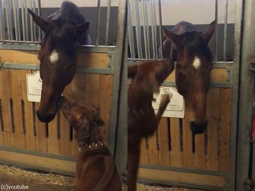 �µ����Ϥ�ʤ�����븤02