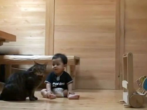 赤ちゃんに遊び方を教える猫01