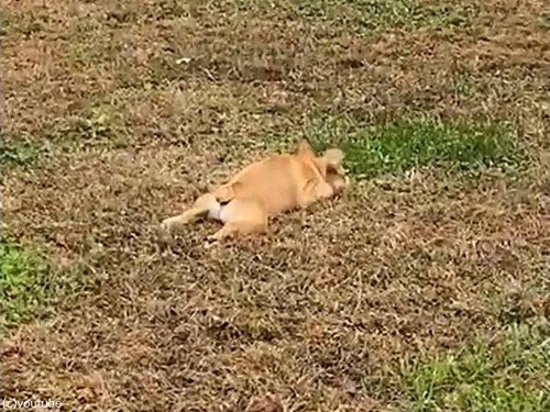 �����֤�����ɤ������ä�������ǥѥ���05