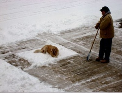雪かきで困った02