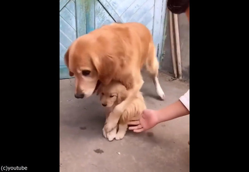 ���ݸ�ʸ�02