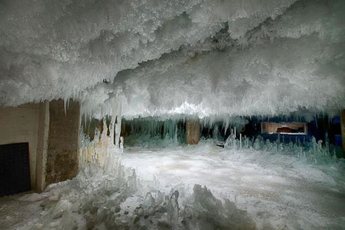 �����¢����06