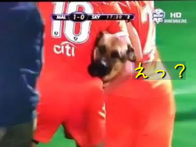 女子サッカーに犬が乱入