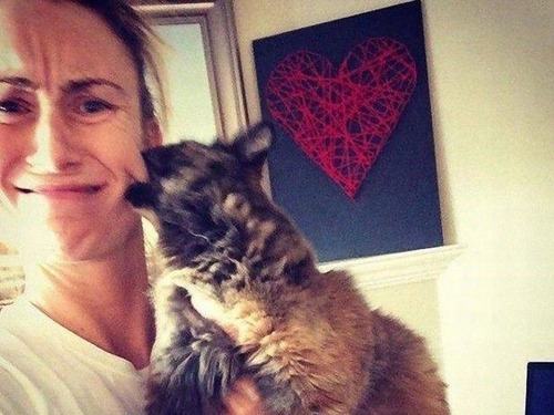 自撮りに付き合わされる猫14