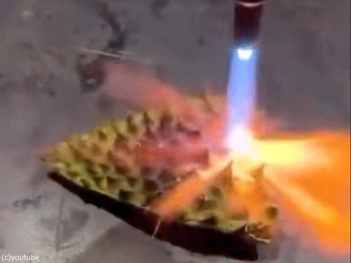 ドリアンの耐熱がすごい、3300度のバーナーで炙っても耐えられるなんて…