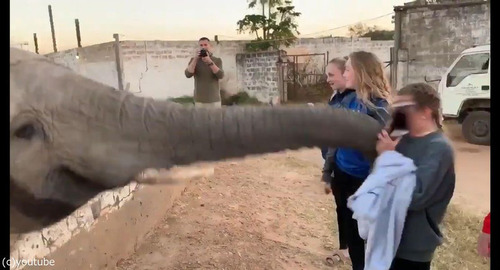 ���ߤ˥����˶�Ť��������03