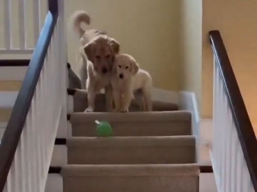 ֥ޥ޸׳ʤ򲼤ΤݤҸͷӤʤ鶵