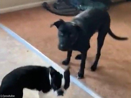 ­�����餫����05