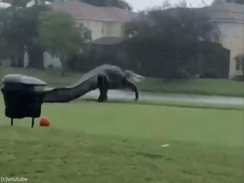 �ե�����Υ���վ�˽и��������01