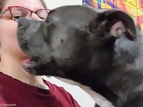 �ʥǤƤȤ��ꤤ���븤02