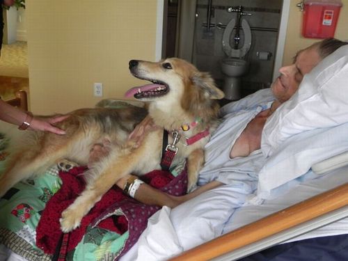 最後は愛犬と15