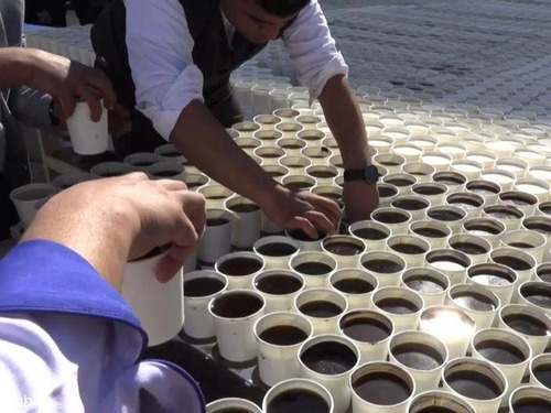 7260杯のコーヒーで「ツタンカーメン」00