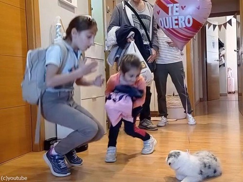 感激が止まらないスペインの小さな姉妹…帰宅したら子犬のプレゼント（動画）