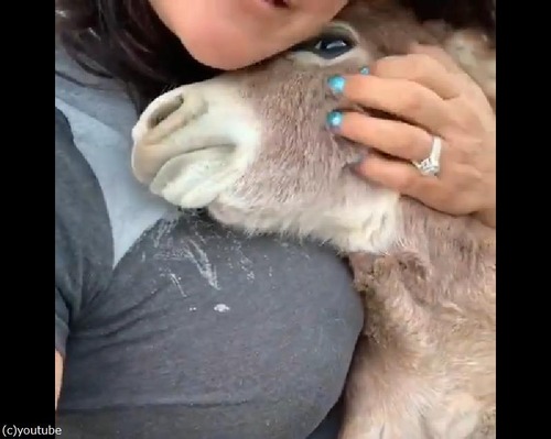 ����ʿͲ��ä������С��������Ȥ��롩02