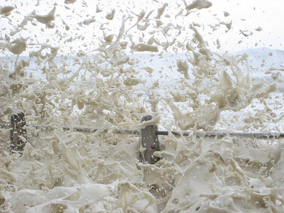 カプチーノ海04