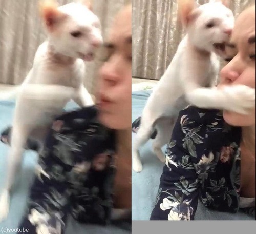 ����������Ф˵����ʤ�ǭ02