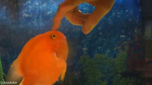 �ʤĤä�����04