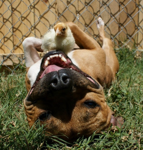 ���ȤҤ褳�Ȥ�����05