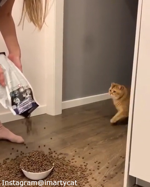 �Ԥ����Ԥä����Ϥ�λ���03