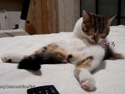 ǭ����ؤ֡����Ȥ��ƤΤդ�ޤ�11